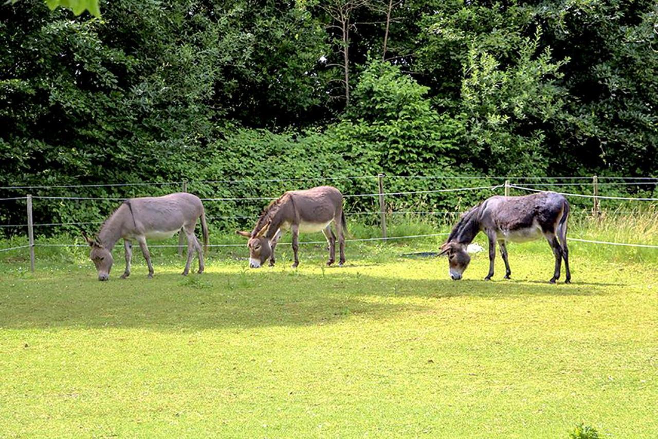 B&B Landgoed Rijckholt Geersdijk Экстерьер фото