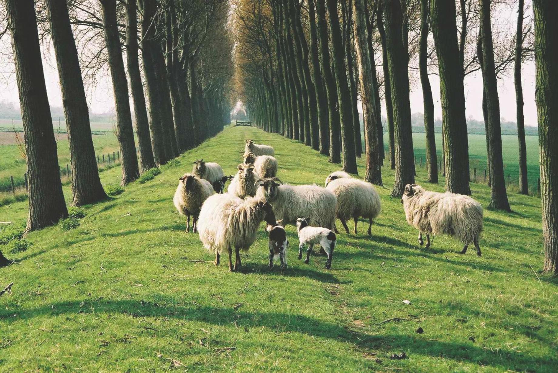 B&B Landgoed Rijckholt Geersdijk Экстерьер фото